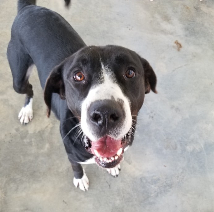 20171123_130855 (2).jpg